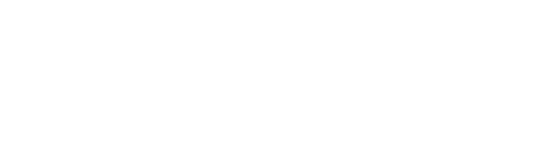 ROBUSTA logo